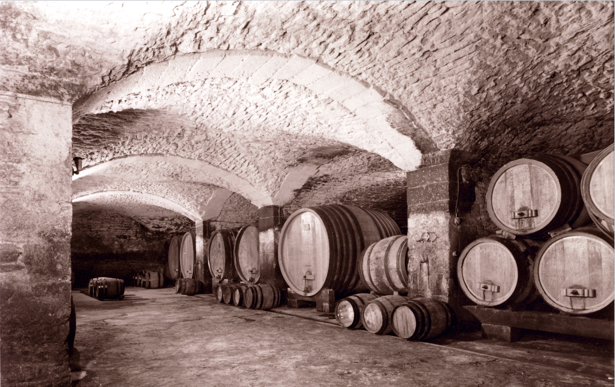 Cave de Vieillissement St Esteve